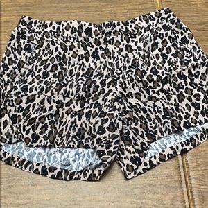 Torrid Leopard Shorts